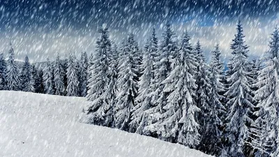 🎥 Как сделать эффект летящего снега — DISTRICT F