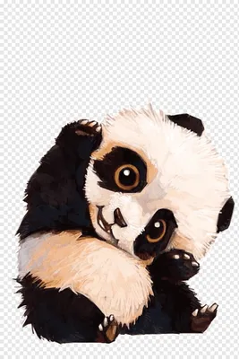 Гигантская панда Мультяшный рисунок Сон, панда, животные, carnivoran,  компьютерные обои png | Klipartz