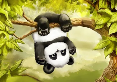 Большой размер панды, коготь для волос, мультяшная заколка в виде акулы,  милая заколка для волос с животными, ежедневная – лучшие товары в  онлайн-магазине Джум Гик