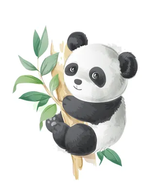 Китай забирает всех панд из американских зоопарков — Главные новости  Москвы, России и мира