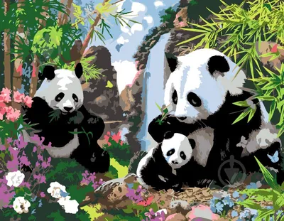 Панды сидят на бамбуковой диете. Почему тогда они толстые?