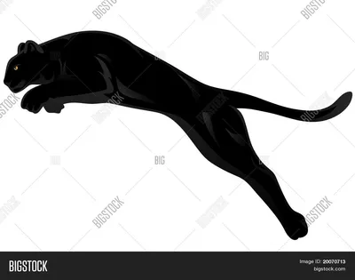 Кто такая Черная пантера ? | Пикабу