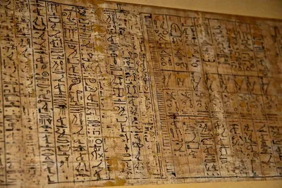 Фото детали папируса поверхностное Стоковое Изображение - изображение  насчитывающей завод, волокно: 116522889