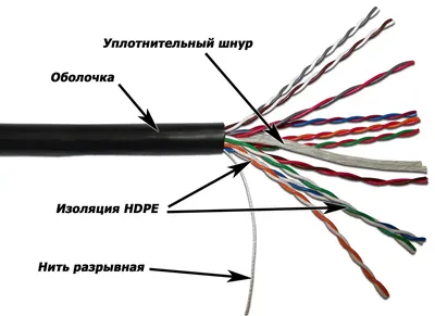 10 самых странных семейных пар в мире