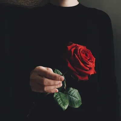 Азиатский парень с красными розами в ретро стиле Стоковое Фото -  изображение насчитывающей случай, джентльмен: 47947492
