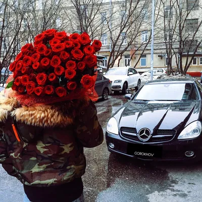 The man with a rose. Holiday. St. Valentine's Day. Мужчина с розой. День  святого Валентина. Stock Photo | Adobe Stock