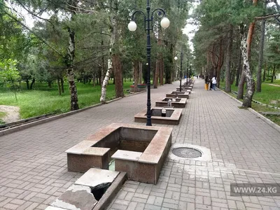 Парк «Южный», Екатеринбург. Карта, фото, как добраться – путеводитель по  городу на EkMap.ru