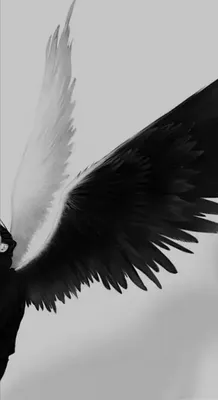 ангел с черными крыльями | Dark angel wallpaper, Dark anime, Anime fallen  angel