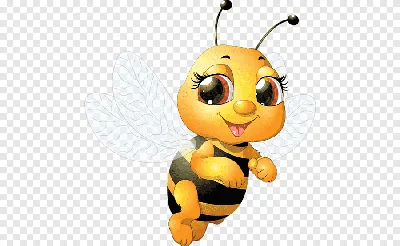 Медоносная пчела, мультфильм насекомое, медоносная пчела, насекомые,  мультфильм png | PNGWing