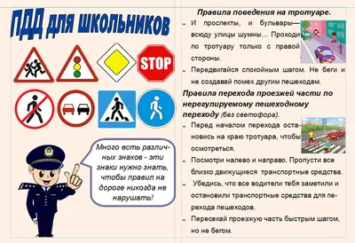 ПДД для детей: какие дорожные знаки и правила дорожного движения должны  знать дети