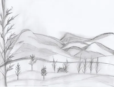 Новогодний пейзаж рисунки легкие для начинающих карандашом (49 фото) »  рисунки для срисовки на Газ-квас.ком