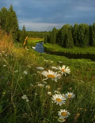 Осенние пейзажи | Пейзажи, Осенний пейзаж, Живописные фотографии