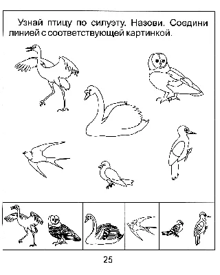 Перелетные птицы раскраски для дошкольников - 77 фото