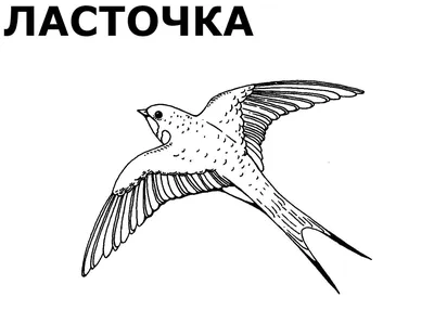 9-27 Летят перелётные птицы (Раиса Пацук) / Стихи.ру