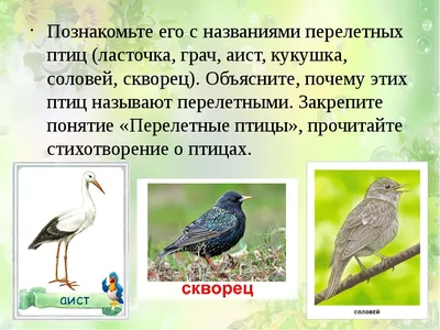 Раскраски Перелетные птицы для детей 6 7 лет с названиями (28 шт.) -  скачать или распечатать бесплатно #22752