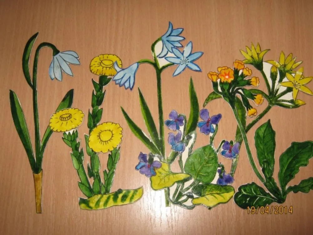 Первоцветы в детском саду