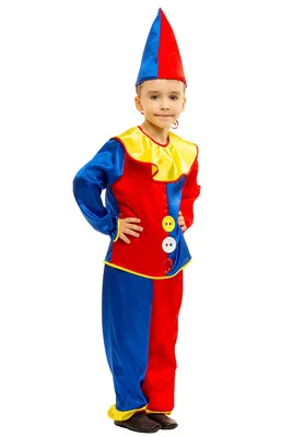 Купить карнавальный костюм «Петрушка», текстиль, р. 34, рост 134 см, цены  на Мегамаркет | Артикул: 100041720361