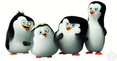 Картинки пингвинов из мадагаскара фотографии