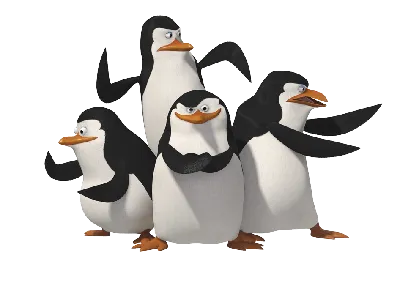 пингвины мадагаскара :: Мадагаскар (Мультфильм) :: DreamWorks ::  Мультфильмы / смешные картинки и другие приколы: комиксы, гиф анимация,  видео, лучший интеллектуальный юмор.