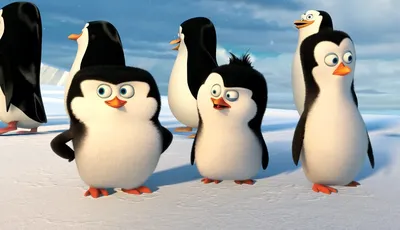 Мультфильм \"Мадагаскар\". Картинка для декупажа. Распечатаю на любой бумаге.  | Madagascar movie, Penguins of madagascar, Madagascar party