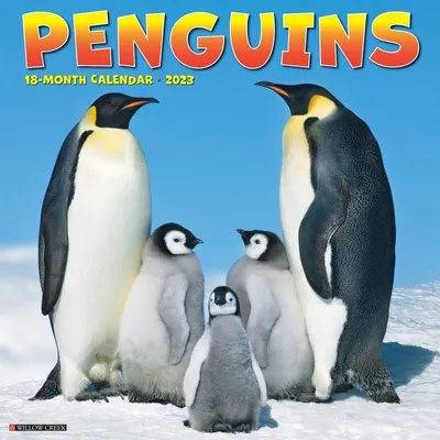 Императорский пингвин/фигурка пингвина/фигурка schleich/фигурка животного  SCHLEICH 28413036 купить в интернет-магазине Wildberries