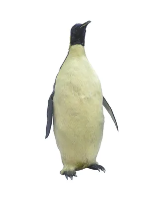 Коллекция фигур стая пингвинов купить недорого, цены от производителя 61  940 руб.