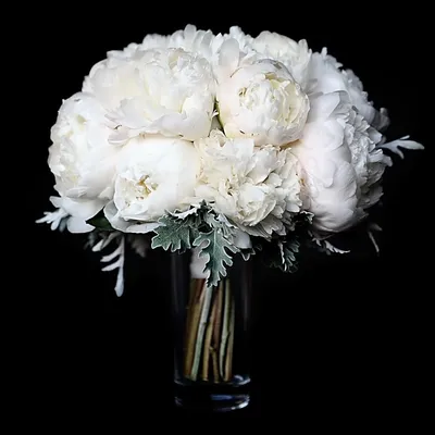 Букет \"Белые пионы\" с доставкой в Москве — Фло-Алло.Ру, свежие цветы с  бесплатной доставкой