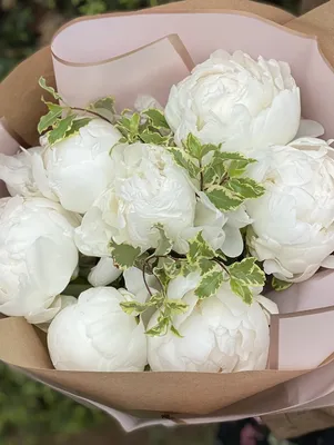 Фотообои Белые цветущие пионы купить в Москве, Арт. 13-336 в  интернет-магазине, цены в Мастерфресок