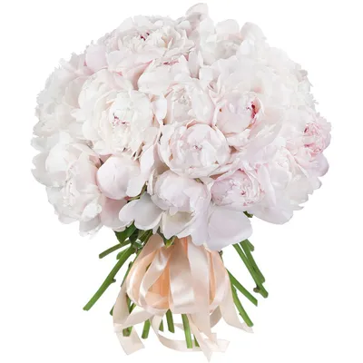 25 бело-розовых пионов в букете за 28 690 руб. | Бесплатная доставка цветов  по Москве