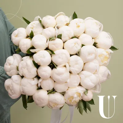 The Festiva Maxima Peony is garden royalty! Festiva Maxima peony bulbs  produce a double, globe-shaped creamy-white flower that has a… | Красивые  цветы, Пионы, Цветы