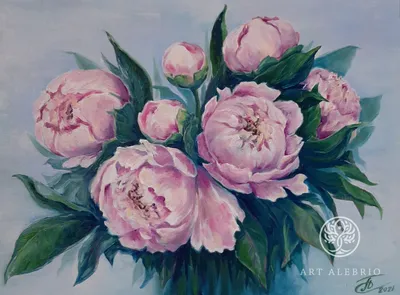 Красивый куст розовых пионов - обои на рабочий стол