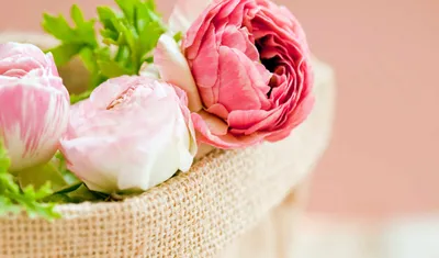 Ткань шелк матовый с эластаном розовыми розами 1099 - купить по выгодной  цене в интернет магазине Tkanitalia.ru| Tkanitalia