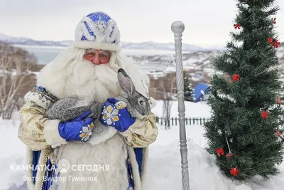 Фототчет «Письмо Деду Морозу» (20 фото). Воспитателям детских садов,  школьным учителям и педагогам - Маам.ру