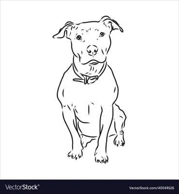 ArtStation - Colorful Pitbull Dog Creations: Pitbulls as Masterpieces