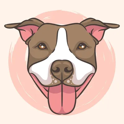 Cute black and brown pitbull 28736542 Stock Photo at Vecteezy