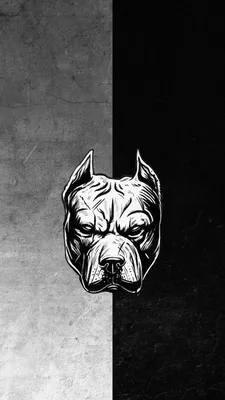 Pitbull Dog Art iPhone Wallpaper - iPhone Wallpapers | Pitbull art, Pitbull  dog, Dog art