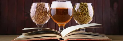 Пиво (подборка книг и статей на пивную тематику). Подарок на 23-е февраля  ;-) | Пикабу