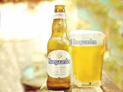 Купить пиво Corona Extra 4,5% Glass в Алматы за 1275 тенге с доставкой на  дом или в организацию!