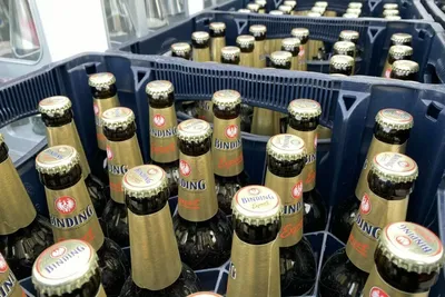 Пиво 4,5% светлое ж/б Львівське 0,5 л – Цена. Фото. Описание