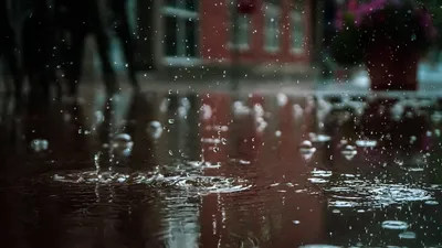 Лист осени на стекле, вид из окна, копировать пространство Текстура капель  дождя Концепция плохого настроения Стоковое Изображение - изображение  насчитывающей падения, золотисто: 161211159