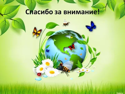 Картинка по экологии для детей для презентации