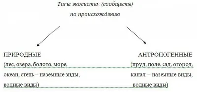 Программы экологического образования дошкольников