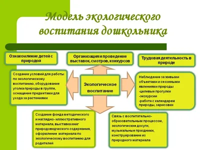Особенности и формы экологического воспитания детей – тема научной статьи  по наукам об образовании читайте бесплатно текст научно-исследовательской  работы в электронной библиотеке КиберЛенинка