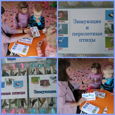 Обзор литературы - Филиал ГАУК ТОНБ «Детская библиотека имени Константина  Яковлевича Лагунова
