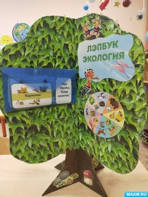 Конспект занятия по экологии для детей 5–6 лет «Самые — самые: рекордсмены  среди животных» (10 фото). Воспитателям детских садов, школьным учителям и  педагогам - Маам.ру