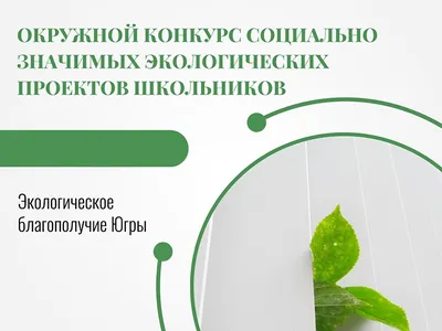 Экологическая кейс-игра «Green-Team» |
