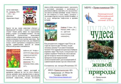Более 1,4 млн школьников улучшили экологические знания благодаря нацпроекту  «Экология» - KP.RU