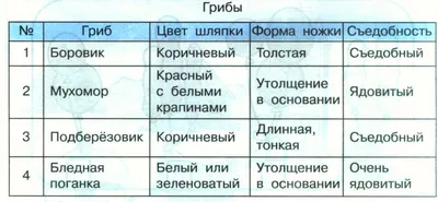 Конспект урока по информатике на тему \"Организация информации в виде  простых таблиц\"