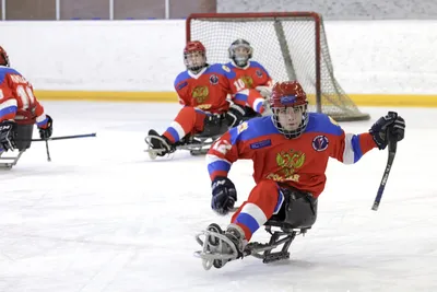 Белые медведи» сыграли с молодежной сборной по следж-хоккею - Федерация  адаптивного хоккея