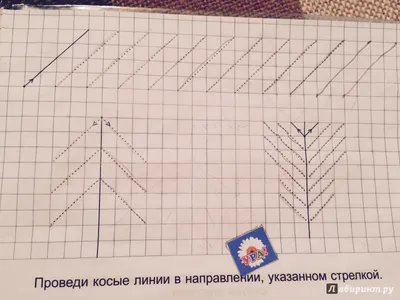 Рисование по клеточкам для детей 6-7-8 лет распечатать бесплатно